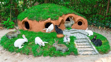 rabbit house figgerits|Rabbit's house [ Figgerits Answers ] .